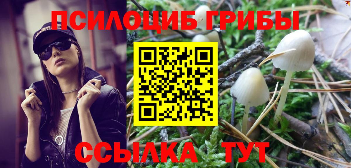 Галлюциногенные грибы MAGIC MUSHROOMS  Псилоцибиновые грибы прущие грибы  даркнет сайт  Лесной  Вход с VPN 