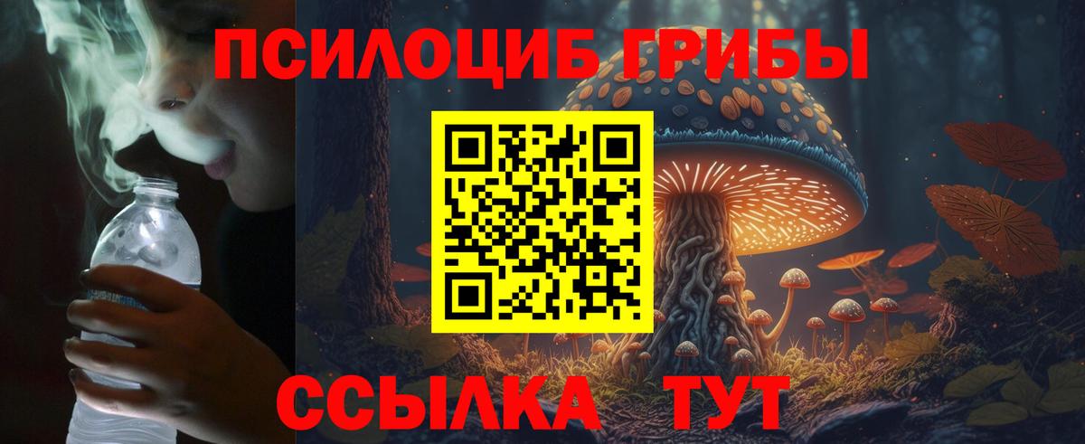 Галлюциногенные грибы MAGIC MUSHROOMS Лесной